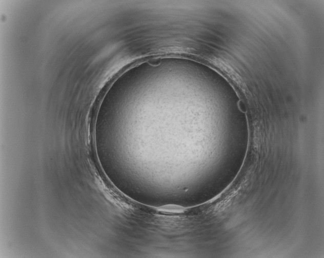 X0000087391031200704271617