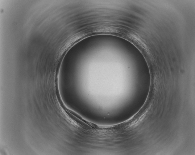 X0000087391033200704271617