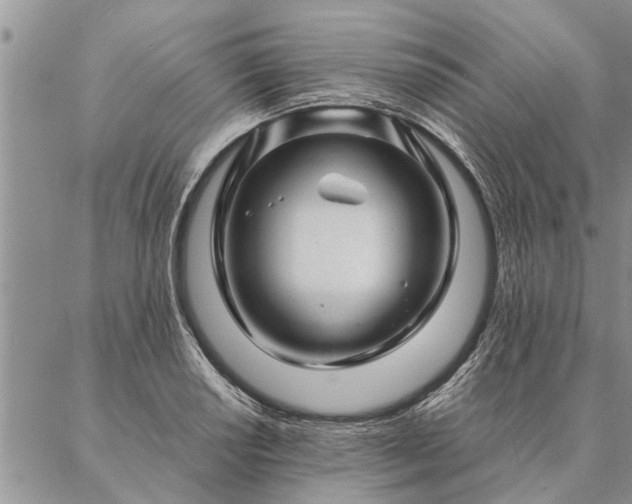 X0000087391034200704271617