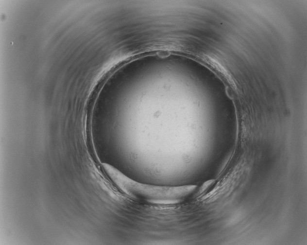 X0000087391035200704271617