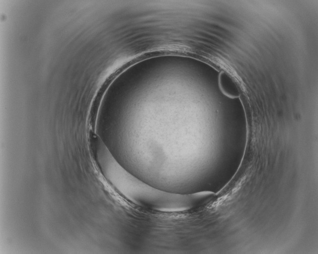 X0000087391037200704271617