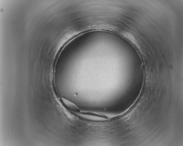 X0000087391040200704271617