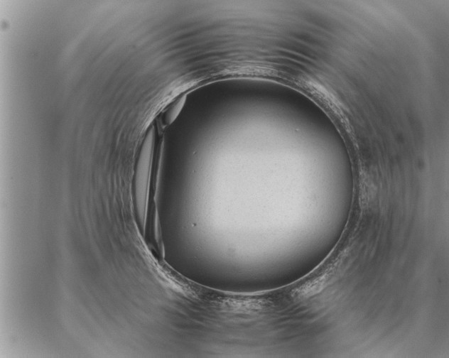 X0000087391041200704271617