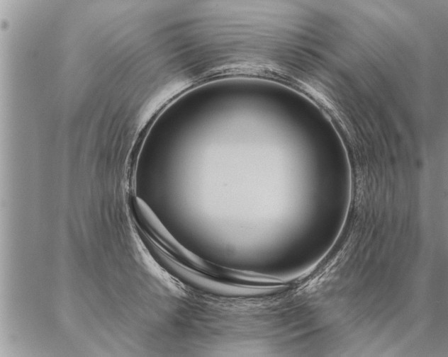 X0000087391042200704271617