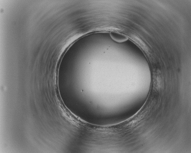 X0000087391044200704271617