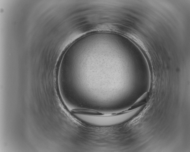 X0000087391045200704271617