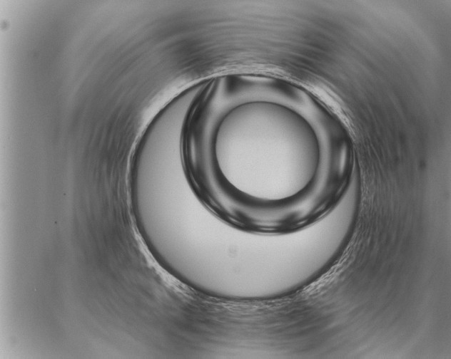 X0000087391046200704271617