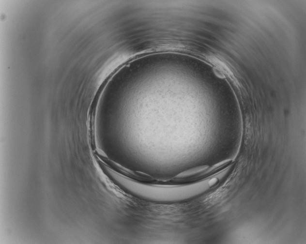 X0000087391047200704271617