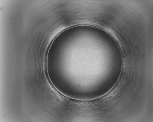 X0000087391048200704271617