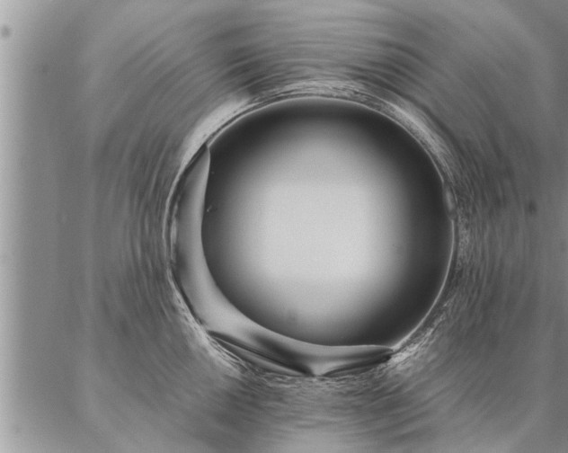 X0000087391050200704271617