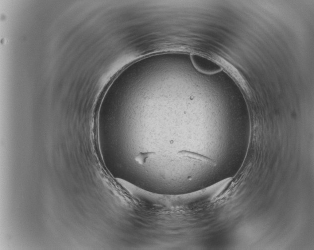 X0000087391051200704271617