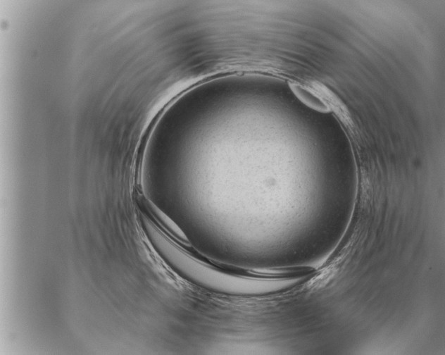 X0000087391052200704271617