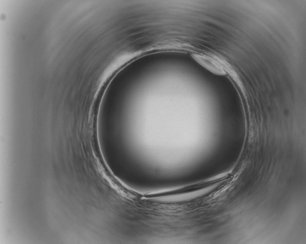 X0000087391053200704271617