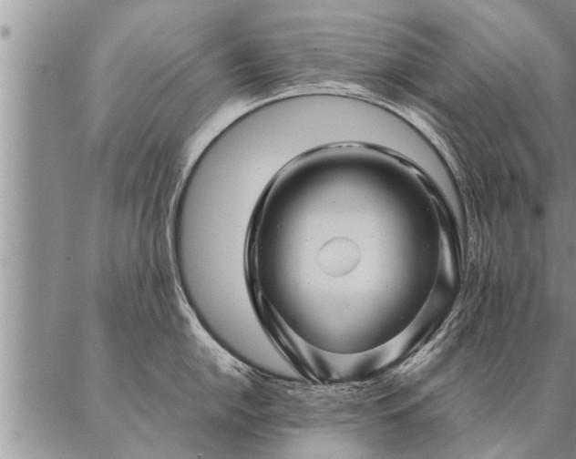 X0000087391054200704271617