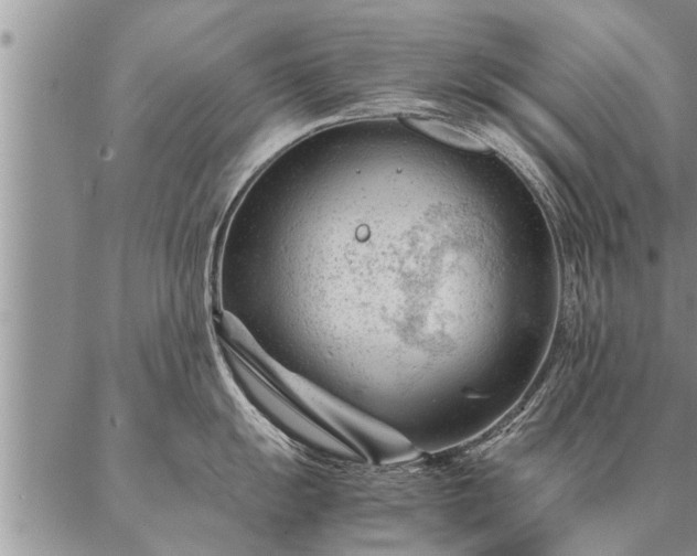 X0000087391055200704271617