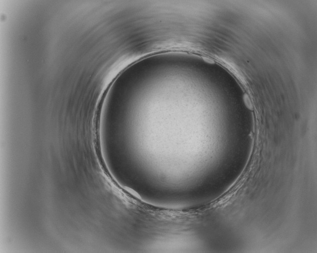 X0000087391056200704271617