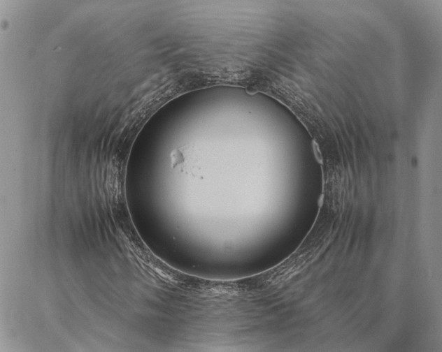 X0000087391058200704271617