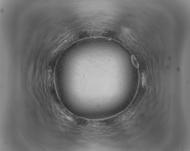 X0000087391059200704271617