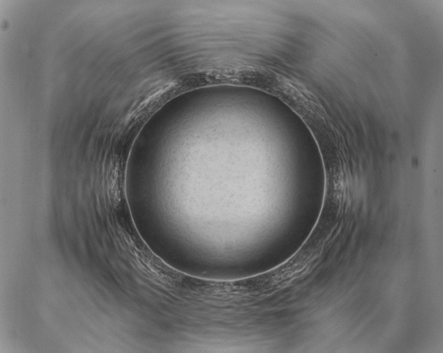 X0000087391060200704271616