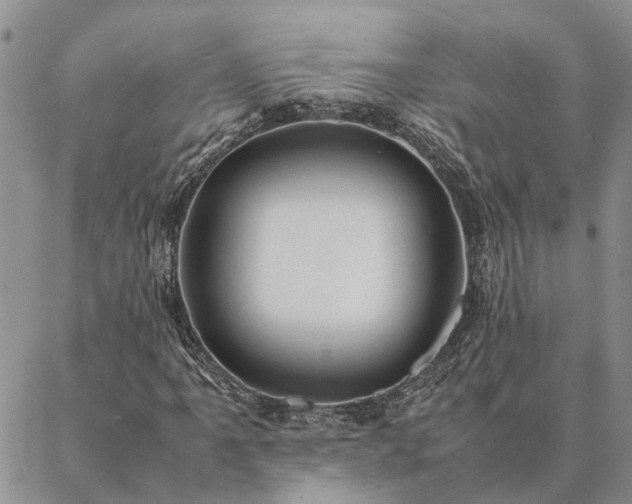 X0000087391061200704271616