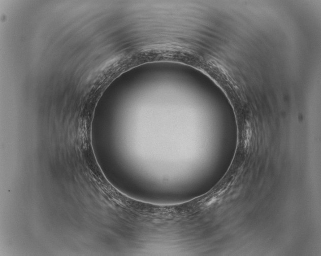 X0000087391062200704271616