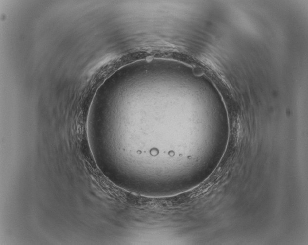 X0000087391063200704271616