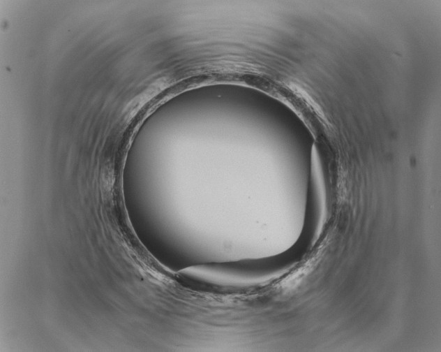 X0000087391065200704271616