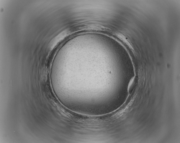 X0000087391067200704271616