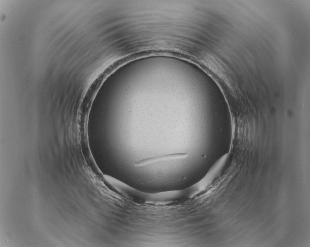 X0000087391068200704271616