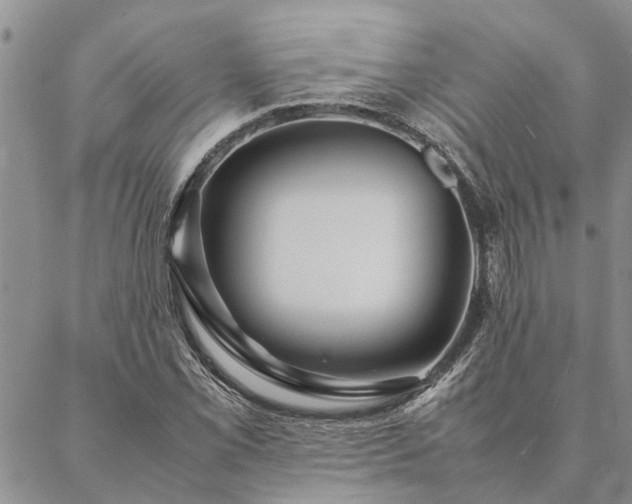 X0000087391069200704271616