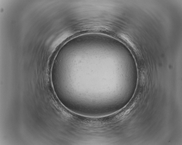 X0000087391071200704271616