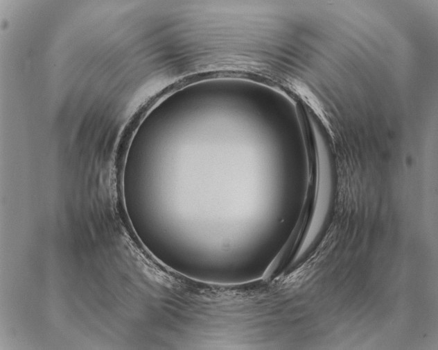 X0000087391072200704271616