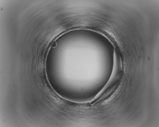 X0000087391073200704271616