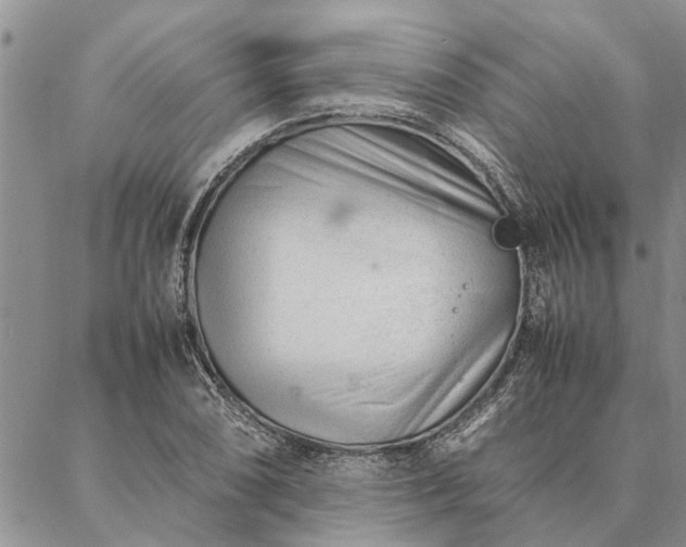 X0000087391074200704271616