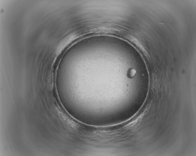 X0000087391075200704271616