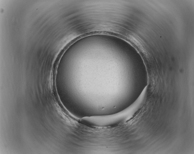 X0000087391076200704271616