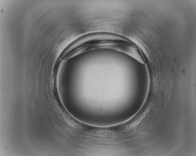 X0000087391077200704271616