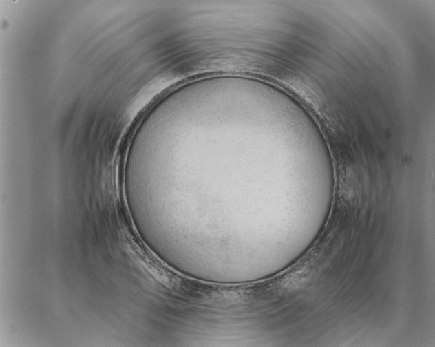 X0000087391078200704271616