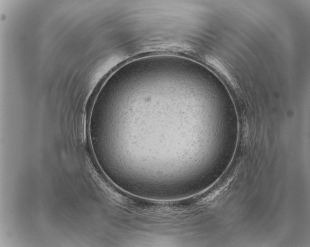 X0000087391079200704271616