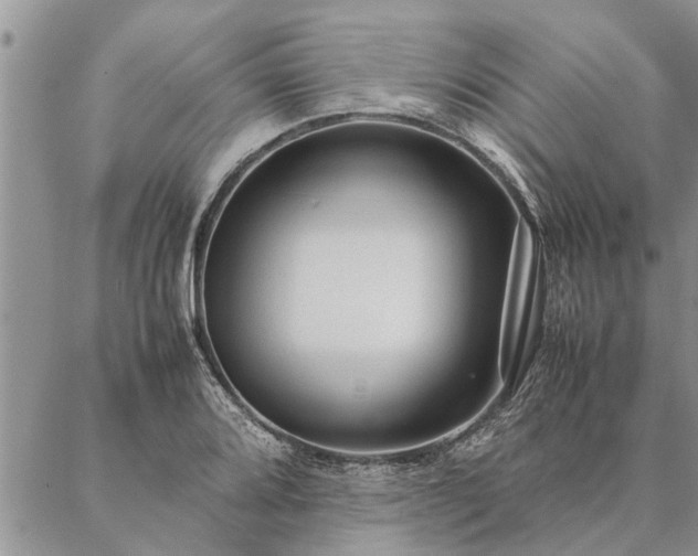 X0000087391080200704271616