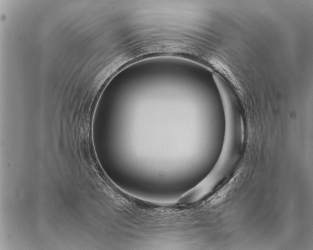 X0000087391081200704271616