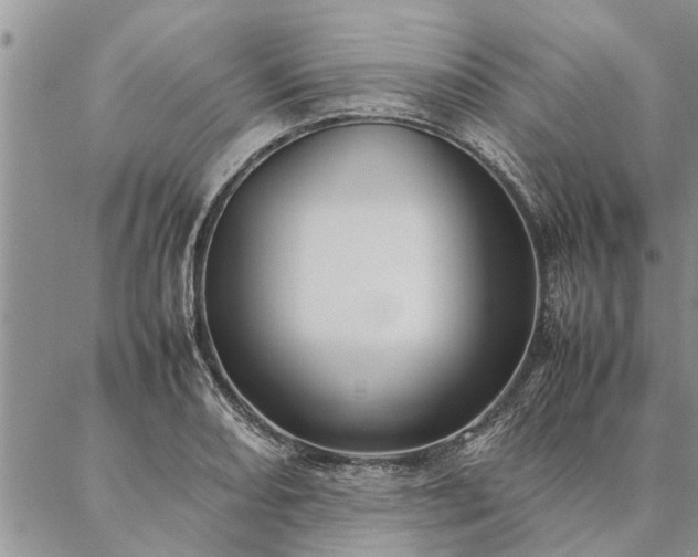 X0000087391082200704271616