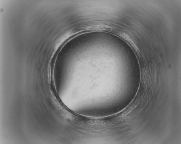 X0000087391083200704271616