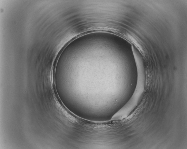 X0000087391084200704271616