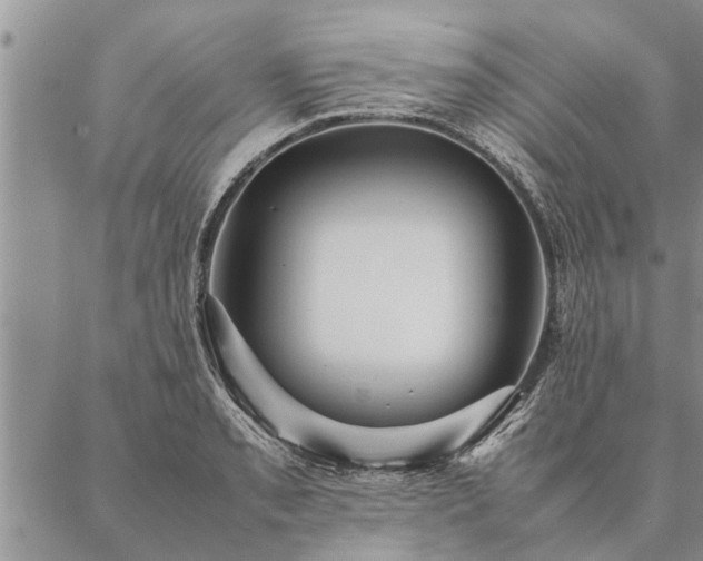 X0000087391085200704271616