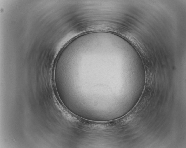 X0000087391086200704271616