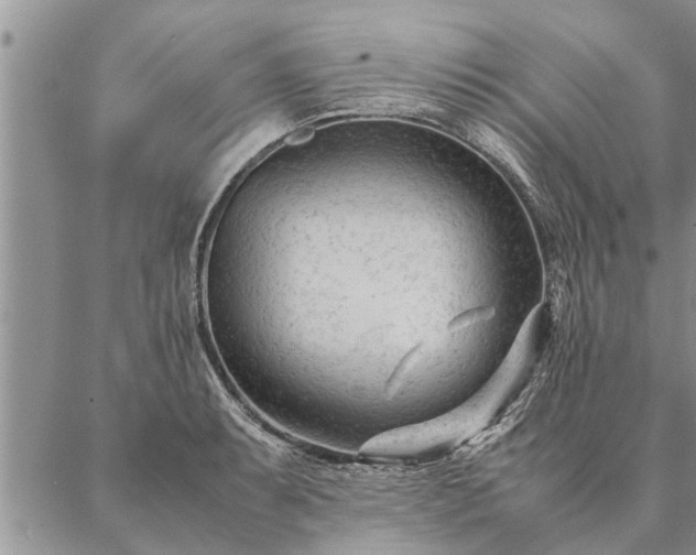 X0000087391087200704271616