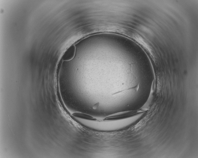 X0000087391088200704271616