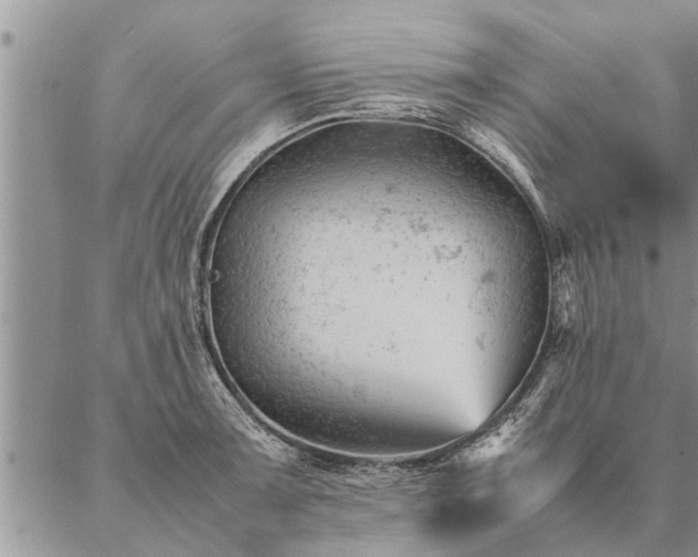 X0000087391091200704271616