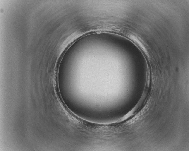 X0000087391093200704271616